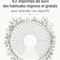 Modèles colorés de trackers d'habitudes gratuits disposés sur une table en bois.