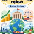 Femme lisant un livre sur l'économie politique dans un environnement confortable